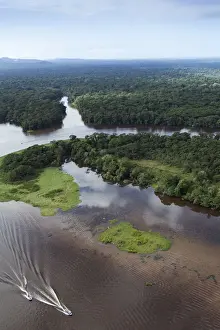 Costa Rica, Limon province, Tortuguero National Park, aerial view of a boat on