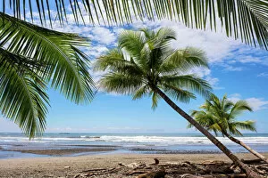Images Dated 17th January 2023: Costa Rica, Pacific coast, Ventana beach, near Uvita town