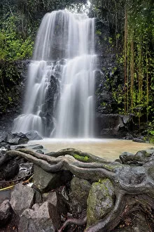Images Dated 17th January 2023: Costa Rica, rainforest, Catarata Llanos de Cortes, waterfall