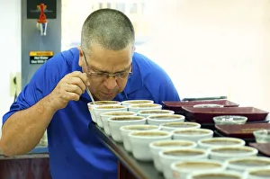 Coffee Prints: Costa Rica, San Marcos de Tarrazu, Coffee Cooperative, Professional Coffee Taster