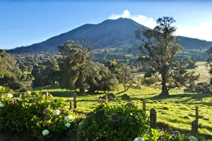 Costa Rica, Turrialba Volcano, Smoking Fumorales, Mountain Cloud Forest, Hedgerow Costa Rica, Turrialba Volcano, Smoking Fumorales, Mountain Cloud Forest, Hedgerow