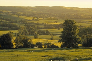 Cotswolds, England