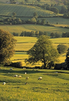 Cotswolds, England