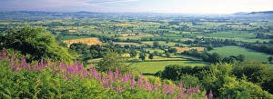 Cotswolds, Gloucestershire