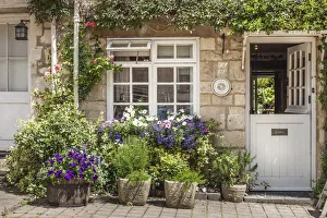 Cotswolds Prints: Cottage in Painswick, Cotswolds, Gloucestershire, England