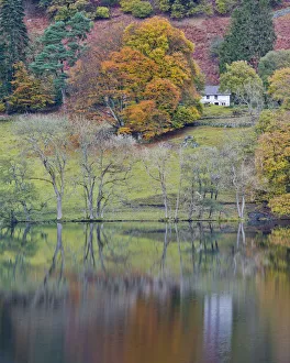 Farmhouse Prints: Cottage Reflecting in Loughrigg Tarn in Autumn, Lake District National Park, Cumbria