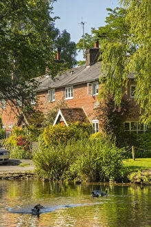 Images Dated 25th June 2020: Cottage by River Alre, Alresford, Hampshire, England, UK