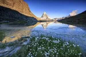 Cotton grass frame the Matterhorn reflected in Lake Stellisee at dawn Zermatt Canton
