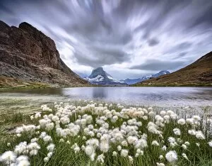 Cotton grass on lake Riffelsee while a thunderstorm hits the Matterhorn Zermatt Canton
