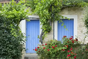 Country house, Var department, Provence, Provence-Alpes-Cote d Azur, Alpes-de-Haute-Provence, Southern France, France