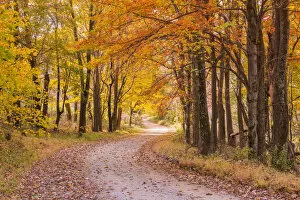 Country Lane in Autumn, Shenandoah National Park, Virginia, USA
