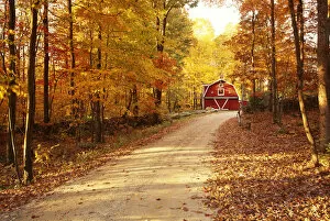 Country Lane & Red Barn, Ashford, Connecticut, USA