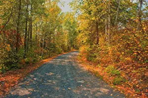 Kenora Prints: Country road in autumn colors near Middle Lake Kenora, Ontario, Canada