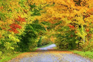 Lane Prints: Country road in autumn, Green Mountains, Morristown, Vermont, USA