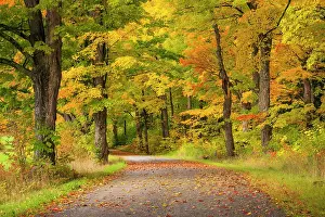 Pastoral Prints: Country road in autumn, Green Mountains, Morristown, Vermont, USA