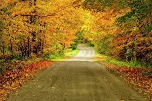 Autumn Leaf Prints: Country road in autumn, Northeast Kingdom, Greensboro, Vermont, USA