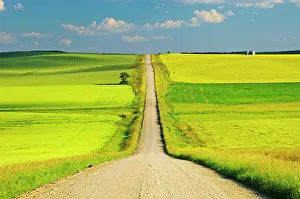 Manitoba Prints: Country road Cypress River, Manitoba, Canada