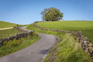 Country road through the pasture and moorland south of Stirling, Stirling, Scotland Country road through the pasture and moorland south of Stirling, Stirling, Scotland