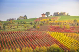 Agricolture Gallery: The countryside near Castelvetro, Modena Province, Emilia Romagna, Italy