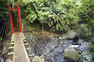 River Crossing Prints: County Maolin Rope Bridge