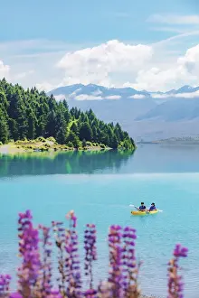 Two Persons Prints: A coupld of asiasn riding the kayak in Tekapo lake on a sunny day with lupins in bloom