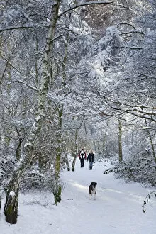 Couple with baby and dog walking in Forest in snow