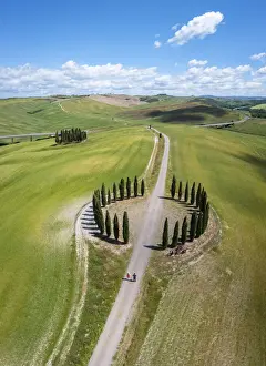 Ground Prints: a couple holding hands at the Cypresses Ring near the famous San Quirico d