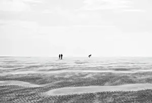 Couples Prints: A couple playing with their dog on the vast expanse of Whiteford Sands beach