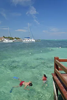 Couple snorkelling, San Pedro, Ambergris Caye, Caribbean, Central America Couple snorkelling, San Pedro, Ambergris Caye, Caribbean, Central America