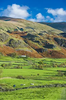 Farmhouse Prints: Couple Walking in Dale Bottom, Lake District National Park, Cumbria, England