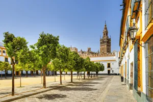 Court of Banderas with the Giralda tower of the Cathedral, UNESCO World Heritage Site