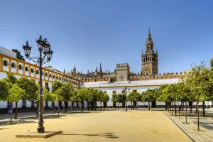 Images Dated 12th June 2018: Court of Banderas with the Giralda tower of the Cathedral, UNESCO World Heritage Site