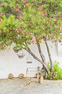Andalusia Collection: Courtyard at Hacienda Las Mesas, Jerez de la Frontera, Andalusia, Spain