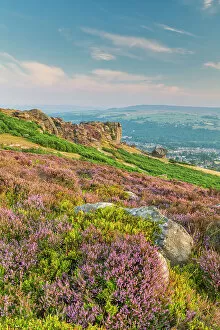 Images Dated 1st March 2023: Cow & Calf, Ilkley Moor, West Yorkshire, England