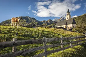 Hohe Tauern Prints: Cow pasture in Obermauern with pilgrimage church Maria Schnee, Virgen valley, East Tyrol