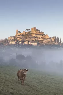 A cow stands in front of the hilltop village of Turenne surrounded by mist, Correze