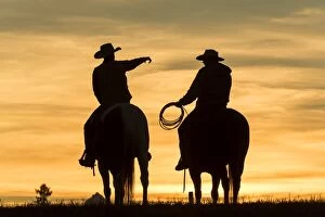 Horses Gallery: Cowboys & horses in silhouette at dawn on ranch, British Columbia, Canada