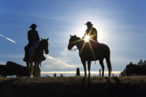 Images Dated 10th September 2015: Cowboys on horses, sunrise, British Columbia, Canada