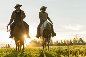 Peter Adams Gallery: Cowboys riding across grassland with moutains behind, early morning, British Columbia