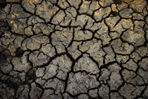 Drought Prints: Cracked mud in dry billabong, Bamurru Plains, Northern Territory, Australia