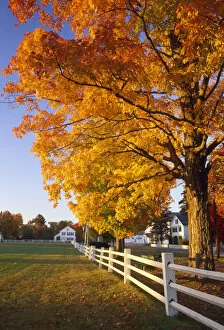 New England Collection: Craftsbury Common in Autumn, Vermont, USA
