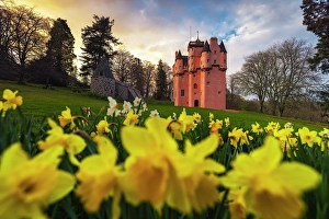 National Trust Prints: Craigievar Castle at sunset, Alford, Aberdeenshire, Scotland, United Kingdom