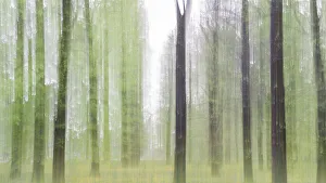 Parks Prints: A creative photograph during spring season at Idroscalo park, Milan, Lombardy, Italy