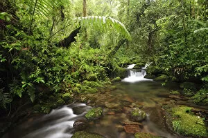 Images Dated 29th May 2012: Creek at Parque Nacional de Amistad near Boquete, Panama, Central America
