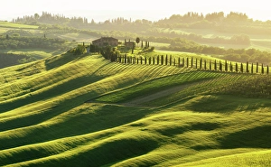 Roads Prints: Crete Senesi landscape at dusk, Tuscany, Italy