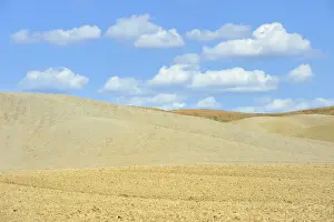 Harvest Prints: Crete Senesi, Senese Clays hills landscape in Tuscany region, Siena province, Italy