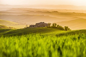 Tuscany Prints: Crete Senesi, Tuscany, Italy