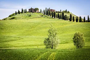 No People Prints: Crete Senesi, Tuscany, Italy