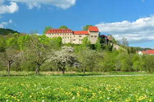 Apple Tree Prints: Creuzburg Castle in the Werra valley