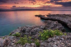 Adriatic Sea Prints: Croatia, Adriatic sea, coast near Sibinj village, sunset